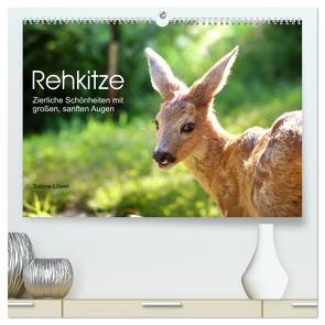 Rehkitze, zierliche Schönheiten mit großen, sanften Augen (hochwertiger Premium Wandkalender 2024 DIN A2 quer), Kunstdruck in Hochglanz von Löwer,  Sabine