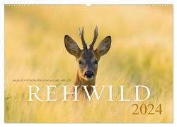 Rehwild 2024 (Wandkalender 2024 DIN A2 quer), CALVENDO Monatskalender von Breuer,  Michael