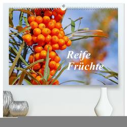 Reife Früchte (hochwertiger Premium Wandkalender 2024 DIN A2 quer), Kunstdruck in Hochglanz von LianeM,  LianeM