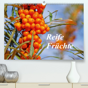 Reife Früchte (Premium, hochwertiger DIN A2 Wandkalender 2021, Kunstdruck in Hochglanz) von LianeM