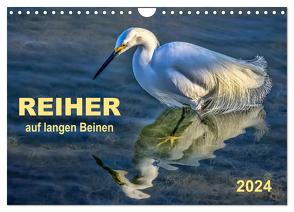 Reiher – auf langen Beinen (Wandkalender 2024 DIN A4 quer), CALVENDO Monatskalender von Roder,  Peter