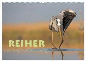 Reiher – Der Tanz auf dem Wasser (Wandkalender 2024 DIN A2 quer), CALVENDO Monatskalender von Peyer,  Stephan