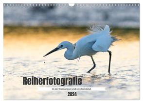 Reiherfotografie (Wandkalender 2024 DIN A3 quer), CALVENDO Monatskalender von Bauer,  Frederic