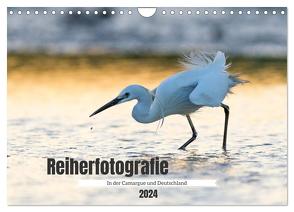 Reiherfotografie (Wandkalender 2024 DIN A4 quer), CALVENDO Monatskalender von Bauer,  Frederic