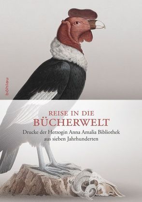 Reise in die Bücherwelt von Knoche,  Michael