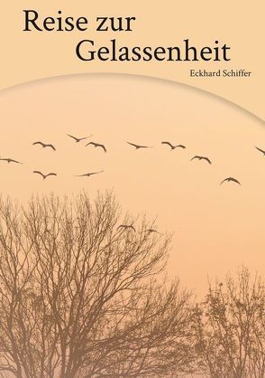 Reise zur Gelassenheit von Schiffer,  Eckhard