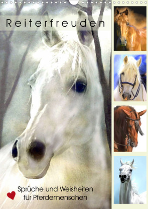 Reiterfreuden. Sprüche und Weisheiten für Pferdemenschen (Wandkalender 2023 DIN A3 hoch) von Hurley,  Rose