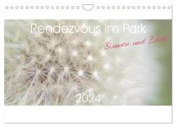 Rendezvous im Park (Wandkalender 2024 DIN A4 quer), CALVENDO Monatskalender von Trabant,  Gesine