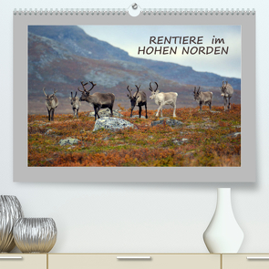 Rentiere im Hohen Norden (Premium, hochwertiger DIN A2 Wandkalender 2023, Kunstdruck in Hochglanz) von GUGIGEI
