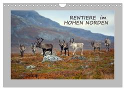 Rentiere im Hohen Norden (Wandkalender 2024 DIN A4 quer), CALVENDO Monatskalender von GUGIGEI,  GUGIGEI