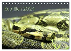 Reptilien 2024 (Tischkalender 2024 DIN A5 quer), CALVENDO Monatskalender von lajavi.com,  lajavi.com