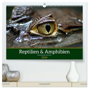 Reptilien & Amphibien Portraits (hochwertiger Premium Wandkalender 2024 DIN A2 quer), Kunstdruck in Hochglanz von Vartzbed,  Klaus