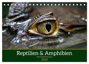 Reptilien & Amphibien Portraits (Tischkalender 2024 DIN A5 quer), CALVENDO Monatskalender von Vartzbed,  Klaus