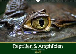 Reptilien & Amphibien Portraits (Wandkalender 2023 DIN A3 quer) von Vartzbed,  Klaus