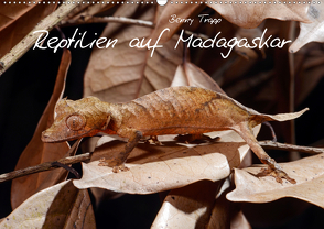 Reptilien auf Madagaskar (Wandkalender 2020 DIN A2 quer) von Trapp,  Benny