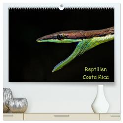 Reptilien Costa Rica (hochwertiger Premium Wandkalender 2024 DIN A2 quer), Kunstdruck in Hochglanz von Dummermuth,  Stefan
