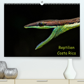 Reptilien Costa Rica (Premium, hochwertiger DIN A2 Wandkalender 2023, Kunstdruck in Hochglanz) von Dummermuth,  Stefan