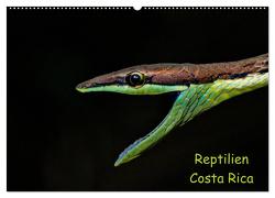 Reptilien Costa Rica (Wandkalender 2024 DIN A2 quer), CALVENDO Monatskalender von Dummermuth,  Stefan