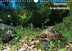 Reptilien Griechenlands (Wandkalender 2018 DIN A4 quer) von Dummermuth,  Stefan