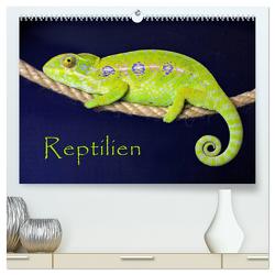 Reptilien (hochwertiger Premium Wandkalender 2024 DIN A2 quer), Kunstdruck in Hochglanz von Sushi,  der