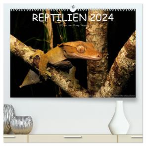 REPTILIEN (hochwertiger Premium Wandkalender 2024 DIN A2 quer), Kunstdruck in Hochglanz von Trapp,  Benny