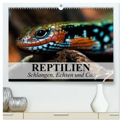 Reptilien Schlangen, Echsen und Co. (hochwertiger Premium Wandkalender 2024 DIN A2 quer), Kunstdruck in Hochglanz von Stanzer,  Elisabeth