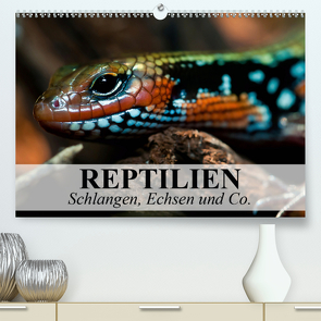 Reptilien Schlangen, Echsen und Co. (Premium, hochwertiger DIN A2 Wandkalender 2021, Kunstdruck in Hochglanz) von Stanzer,  Elisabeth