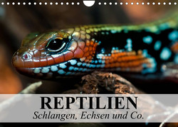 Reptilien Schlangen, Echsen und Co. (Wandkalender 2023 DIN A4 quer) von Stanzer,  Elisabeth