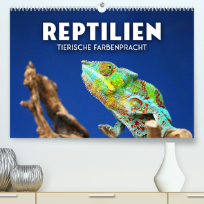 Reptilien – Tierische Farbenpracht (Premium, hochwertiger DIN A2 Wandkalender 2023, Kunstdruck in Hochglanz) von SF