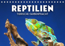 Reptilien – Tierische Farbenpracht (Tischkalender 2023 DIN A5 quer) von SF
