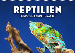 Reptilien – Tierische Farbenpracht (Wandkalender 2023 DIN A2 quer) von SF