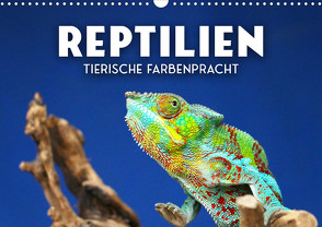 Reptilien – Tierische Farbenpracht (Wandkalender 2023 DIN A3 quer) von SF