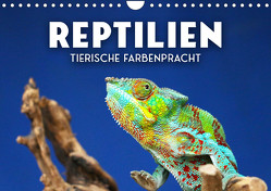 Reptilien – Tierische Farbenpracht (Wandkalender 2023 DIN A4 quer) von SF