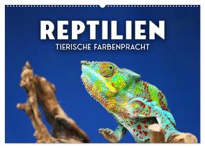 Reptilien – Tierische Farbenpracht (Wandkalender 2024 DIN A2 quer), CALVENDO Monatskalender von SF,  SF
