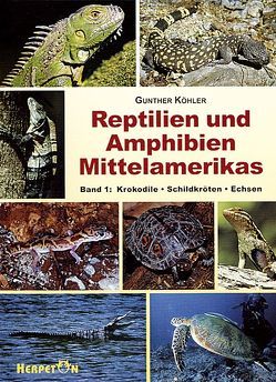 Reptilien und Amphibien Mittelamerikas / Reptilien und Amphibien Mittelamerikas von Köhler,  Gunther