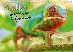 Reptilien urzeitliche Artgenossen (Tischkalender 2019 DIN A5 quer) von Mosert,  Stefan