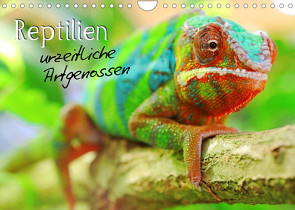 Reptilien urzeitliche Artgenossen (Wandkalender 2022 DIN A4 quer) von Mosert,  Stefan