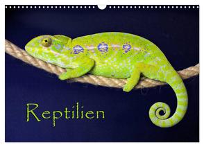 Reptilien (Wandkalender 2024 DIN A3 quer), CALVENDO Monatskalender von Sushi,  der