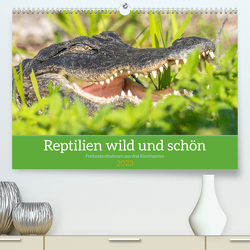 Reptilien wild und schön (Premium, hochwertiger DIN A2 Wandkalender 2023, Kunstdruck in Hochglanz) von Pohl,  Bruno