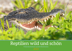 Reptilien wild und schön (Wandkalender 2023 DIN A3 quer) von Pohl,  Bruno