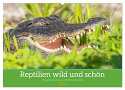 Reptilien wild und schön (Wandkalender 2024 DIN A2 quer), CALVENDO Monatskalender von Pohl,  Bruno