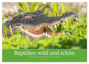 Reptilien wild und schön (Wandkalender 2024 DIN A3 quer), CALVENDO Monatskalender von Pohl,  Bruno