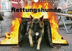 Rettungshunde (Wandkalender 2019 DIN A4 quer) von Mirlieb,  Ulf