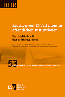 Revision von IT-Verfahren in öffentlichen Institutionen