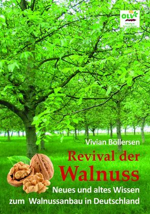 Revival der Walnuss von Böllersen,  Vivian