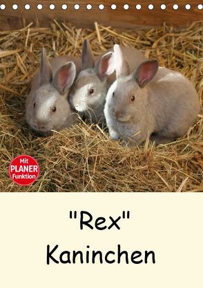 „Rex“ Kaninchen (Tischkalender 2019 DIN A5 hoch) von Bagunk,  Anja
