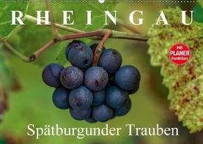 Rheingau – Spätburgunder Trauben (Wandkalender 2018 DIN A2 quer) von Meyer,  Dieter