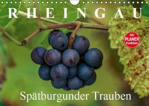 Rheingau – Spätburgunder Trauben (Wandkalender 2019 DIN A4 quer) von Meyer,  Dieter