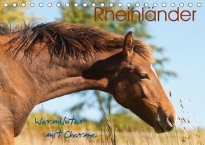 Rheinländer – Warmblüter mit Charme (Tischkalender 2018 DIN A5 quer) von Bölts,  Meike