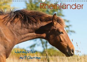 Rheinländer – Warmblüter mit Charme (Wandkalender 2019 DIN A3 quer) von Bölts,  Meike